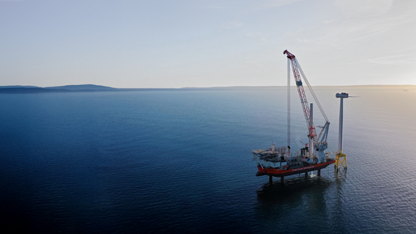 FOWIC Website 2024 Header Image 07